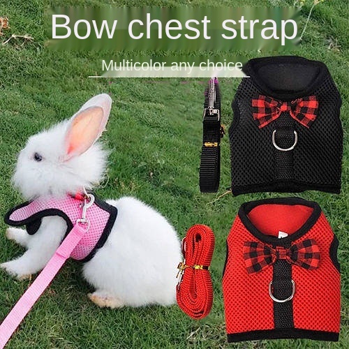 Dây ràng dắt thỏ cưng/ mèo/ chuột lang đi dạo chống bị hư áo vest cỡ rộng