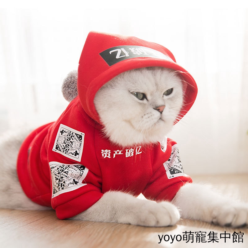 Áo Hoodie In Chữ Tiếng Anh Dễ Thương Cho Mèo Cưng