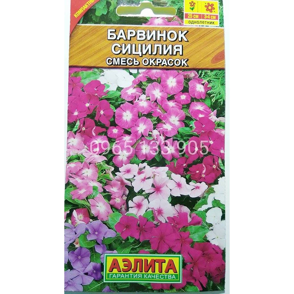 HẠT GIỐNG HOA DỪA CẠN RỦ MIX