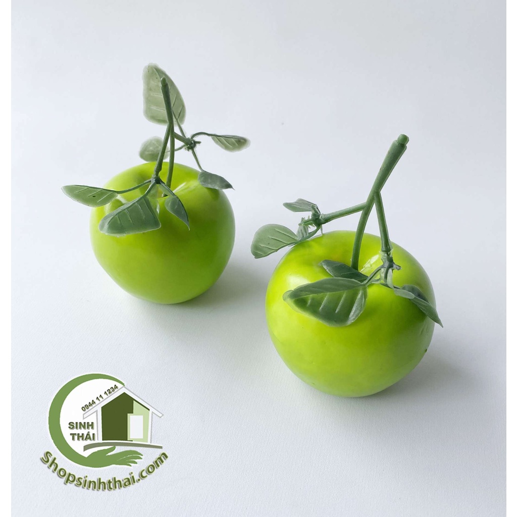 Trái táo xanh - Quả táo mỹ giả cao cấp