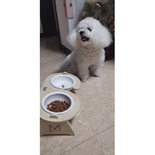 [order] bát thức ăn đế gỗ cho mèo cưng
