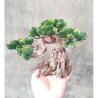 Lũa Bonsai cỡ vừa có gắn cây nhựa trang trí cho bể cá