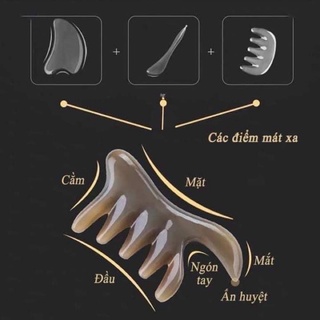 Lược sừng Mandala, Lược Massage đa năng.