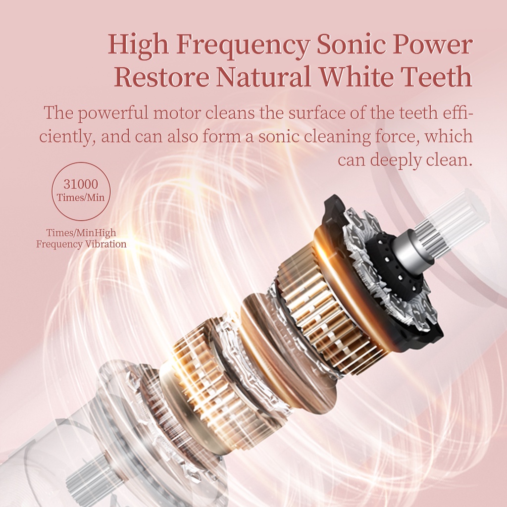 Xiaomi Youpin Bàn Chải Đánh Răng Điện Tần Số Rung Cao Echen Sonic T501 31000 Times/Min