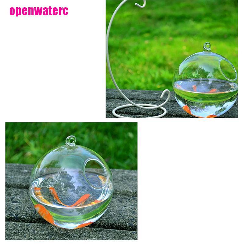 Chậu Kính Trồng Cây Thủy Sinh Treo Tường Trang Trí Nhà Cửa Diy