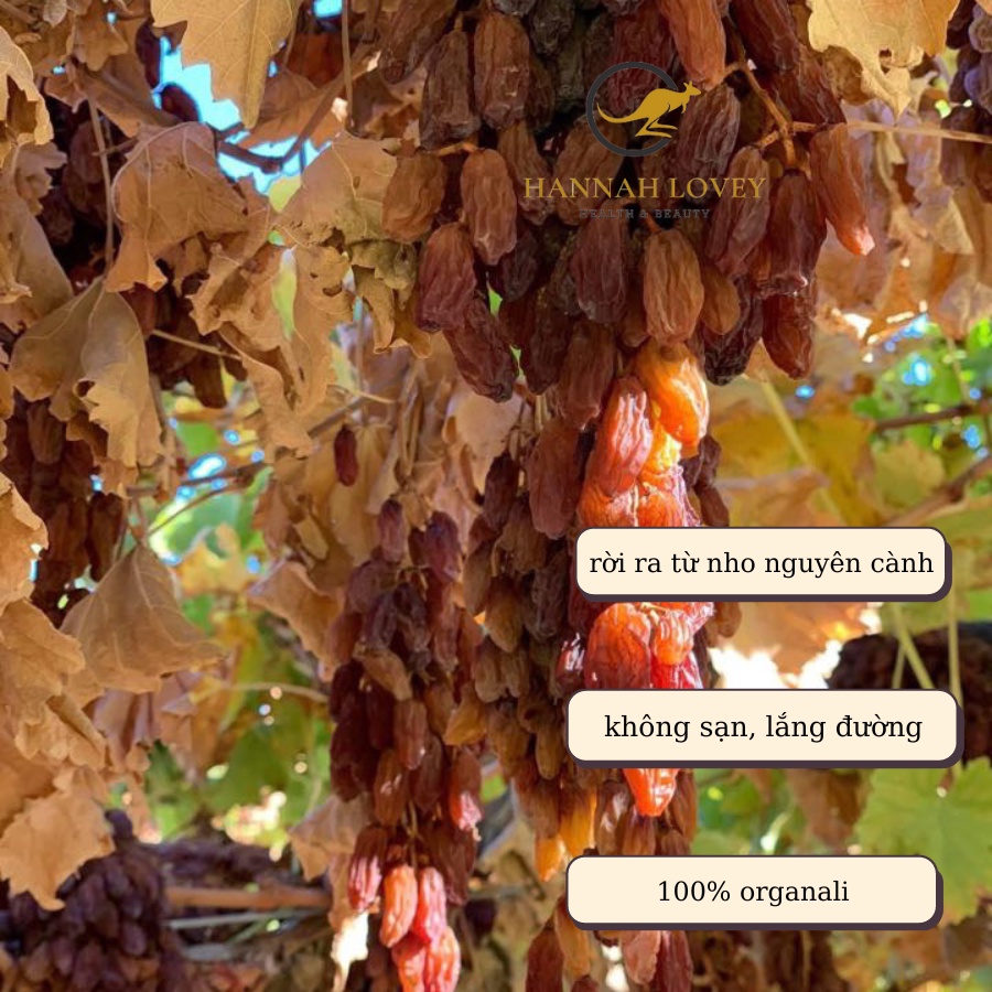 Nho khô, nhặt rời nhập khẩu Úc, Nho không đường, nho khô Thompson khô Tự nhiên loại 500g