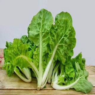 Hạt giống cải bẹ dún