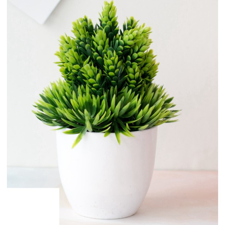 Cây giả - chậu cây có hoa nhiều mẫu trang trí ( đọc kỹ thông tin sản phẩm) | BigBuy360 - bigbuy360.vn