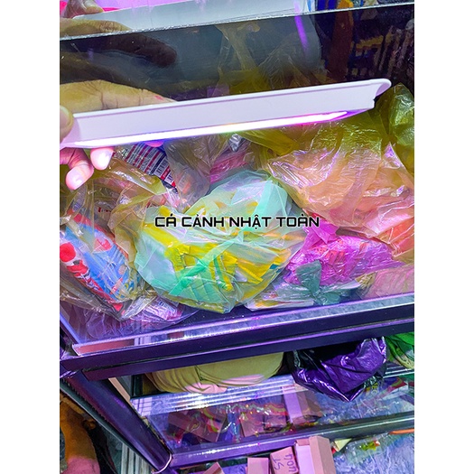 ĐÈN LED KẸP 2 BÊN BỂ CÁ 3 CHẾ ĐỘ MÀU CEBO COCO