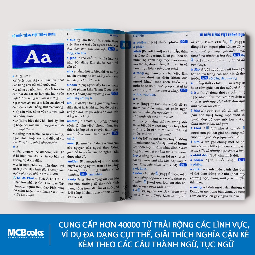 Sách - Từ điển Tiếng Việt thông dụng (Bìa Cứng Xanh) - MCBooks