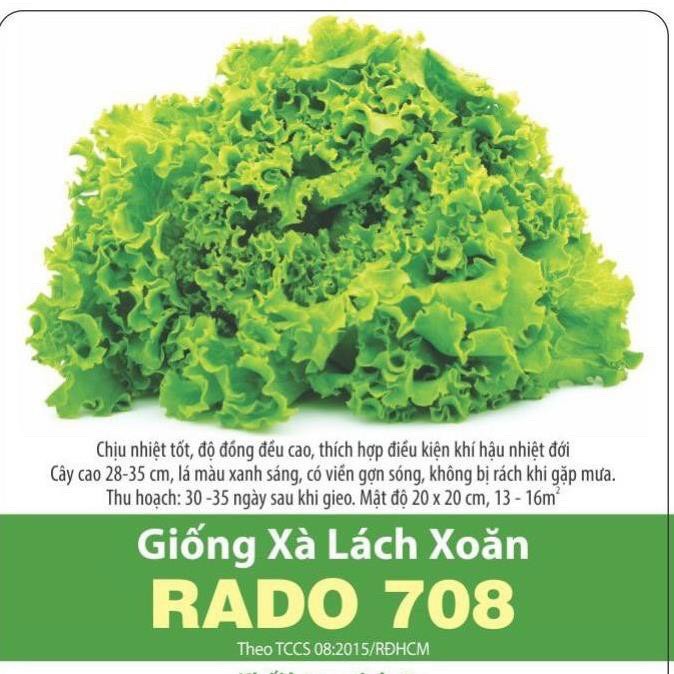 Xà Lách Xoăn RADO 708
