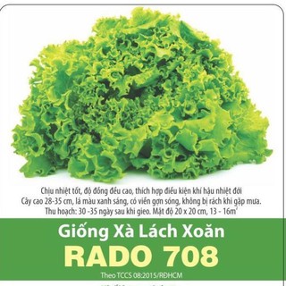 Xà lách xoăn rado 708