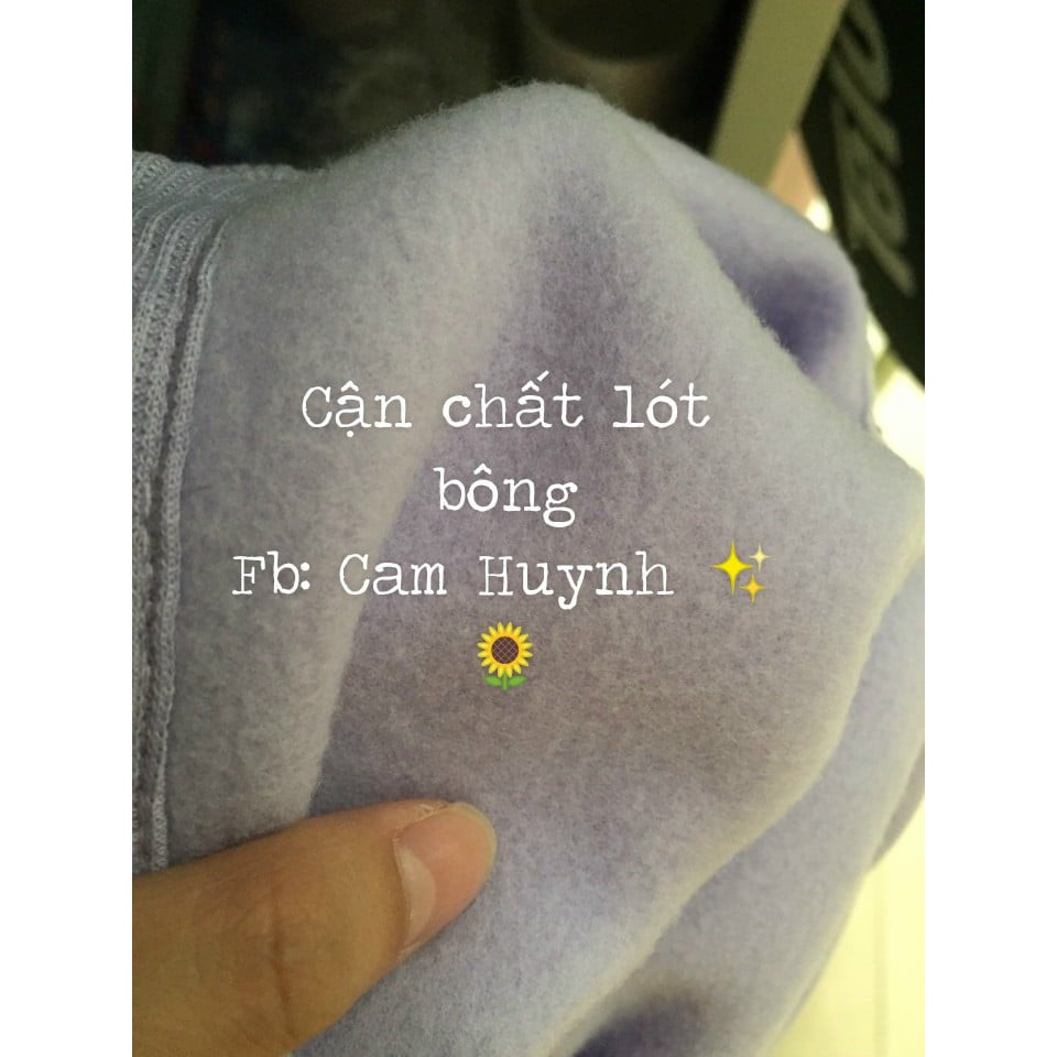 ÁO POLO NỈ LÓT BÔNG IN GẤU KOALA MÀU TÍM ULZZANG FORM RỘNG | BigBuy360 - bigbuy360.vn