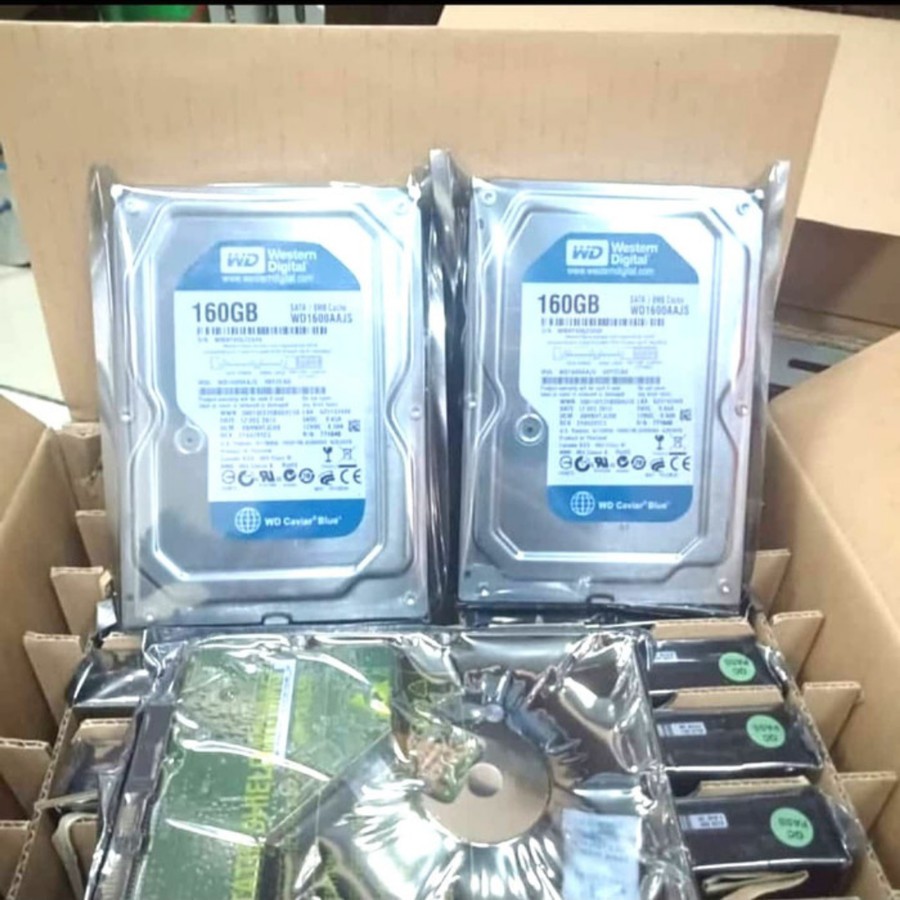 Ổ Cứng Ngoài 160gb Wd - Sata 3.5 Hdd Cho Máy Tính | BigBuy360 - bigbuy360.vn