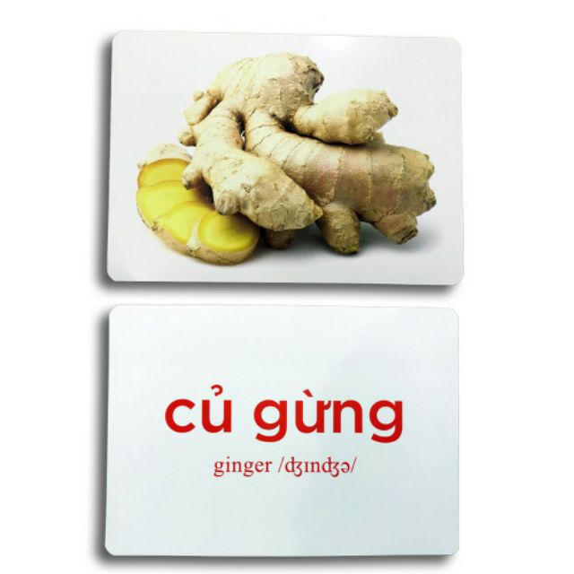 Flashcard Thế giới xung quanh 140 thẻ (khổ A5) - Thẻ Flash card