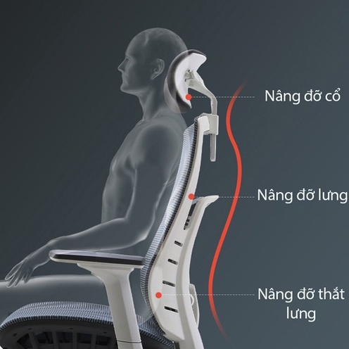 GHẾ VĂN PHÒNG CÔNG THÁI HỌC ERGONOMIC SIHOO M93