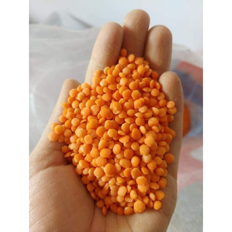500gr Đậu Lăng Đỏ Hữu Cơ