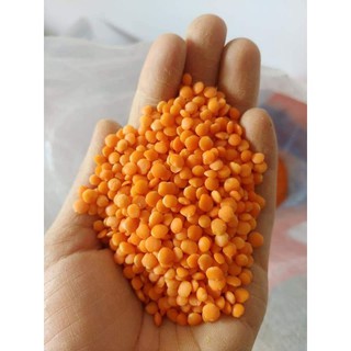 500gr đậu lăng đỏ hữu cơ