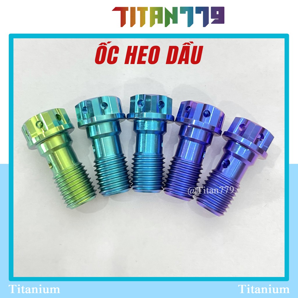 (54) Ốc heo dầu Titan Gr5 đầu vương miện