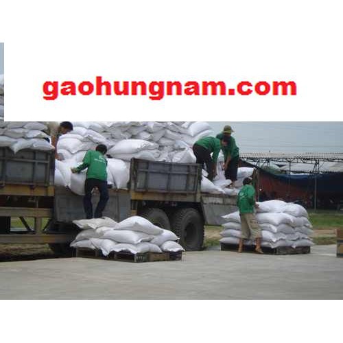 Gạo tám điện biên 10kg- - giao hàng ifast  -  ifast.com.vn - cbig.vn hệ thống tạp hóa cbig.vn