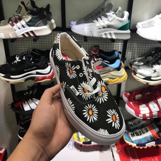 Vans daisy - vans hoa cúc