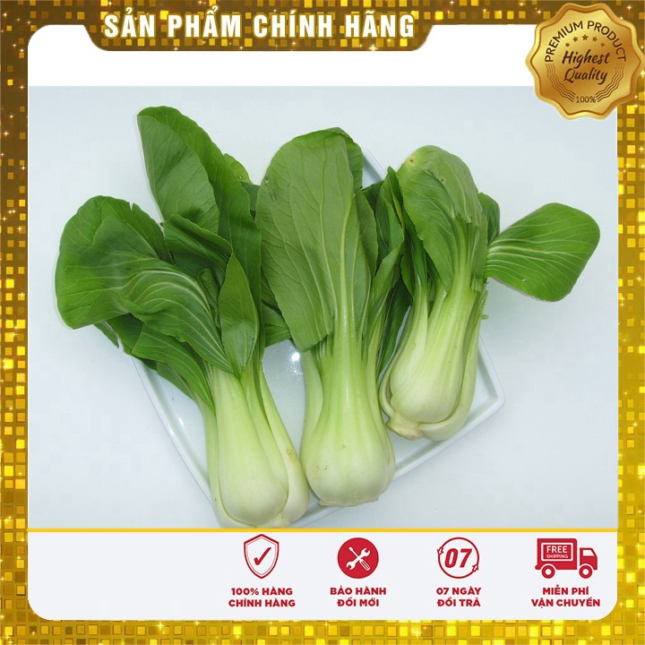 Hạt giống rau Cải Chíp Cao sản gói 20 gram