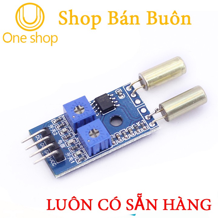 Module Cảm Biến Góc Nghiêng 2 Kênh SW520D (Tilt Sensor)