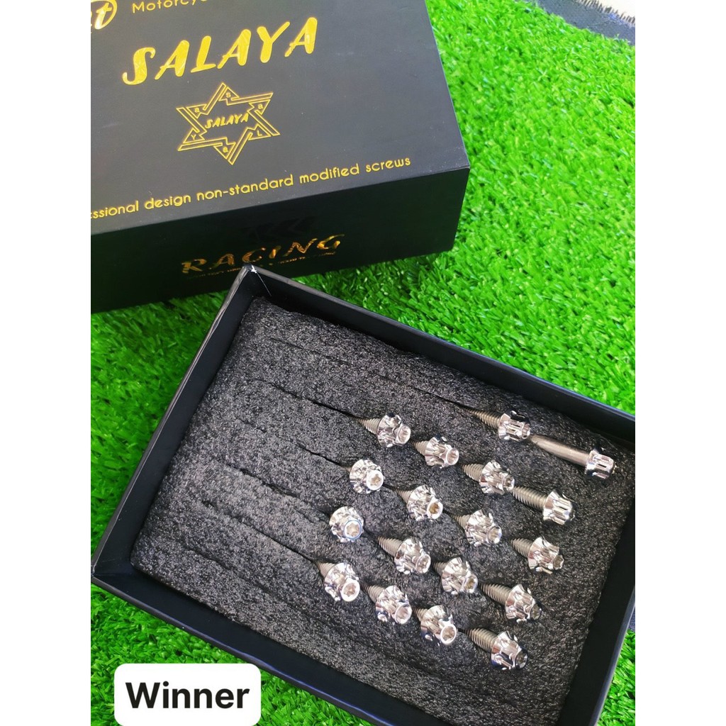 S3-WINNER LỐC MÁY SALAYA INOX304 CHÍNH HÃNG CHO WINNER (24 con)