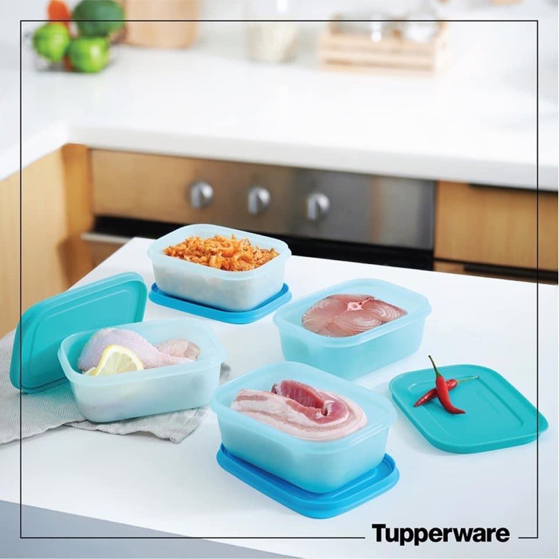 BỘ HỘP TRỮ ĐÔNG GEN II 450ML, 1L, 1.1L, 2.3L TUPPERWARE