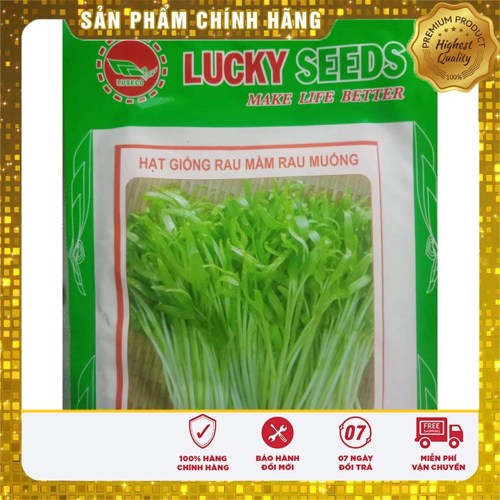 HẠT GIỐNG RAU MẦM RAU MUỐNG 50 GRAM