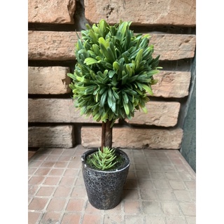 Đồ trang trí decor cực chất --- 50k