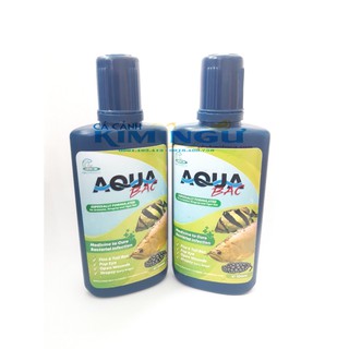 DUNG DỊCH AQUABAC : XÙ VẢY, SƯNG MIỆNG, THỐI VÂY, ĐUÔI - AQUA BẠC - AQUA BAC