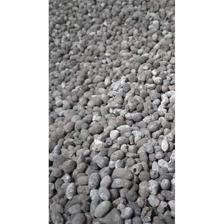 Phân Dê Túi Lưới Bón Cho Lan Đã Xử Lý 15cm
