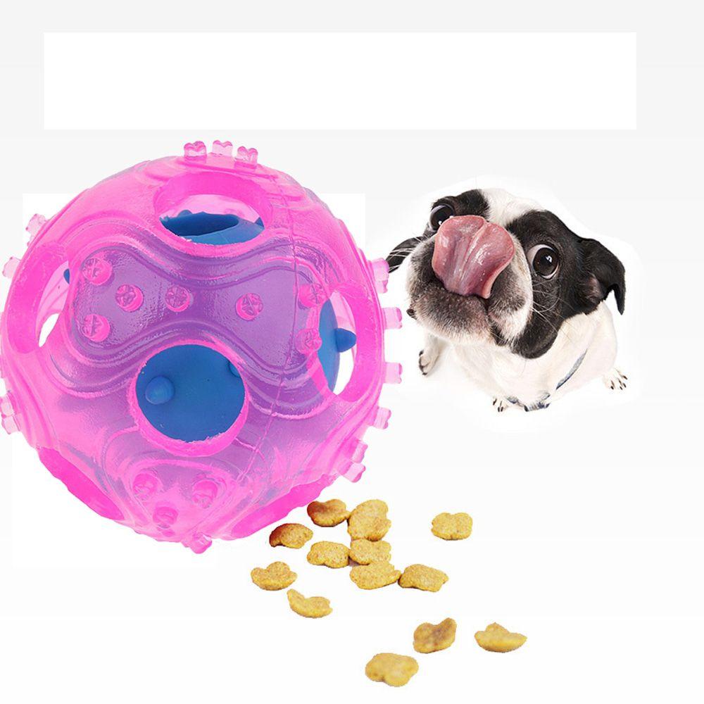 Đồ Chơi Ngậm Nướu Tương Tác Với Thú Cưng