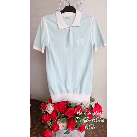 Áo  thun mongtegi kiểu