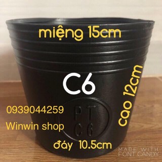 chậu nhựa trồng cây cảnh, combo 50 cái chậu C6