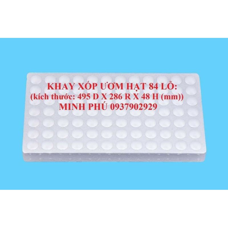 KHÂY XỐP ƯƠM HẠT 84 LỖ