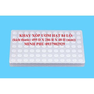 KHÂY XỐP ƯƠM HẠT 84 LỖ