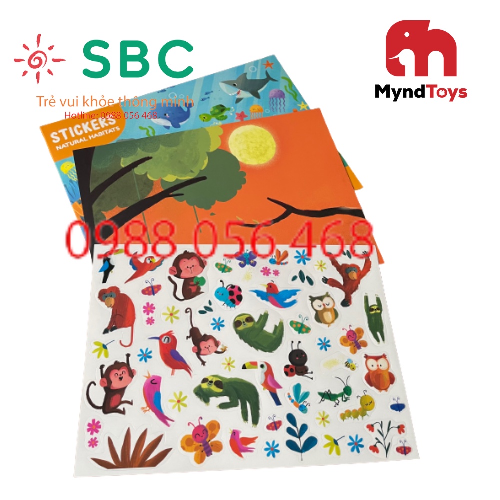 Bóc dán thành tranh môi trường sống sinh động - Sticker Myndtoys Việt Nam - Đồ chơi an toàn