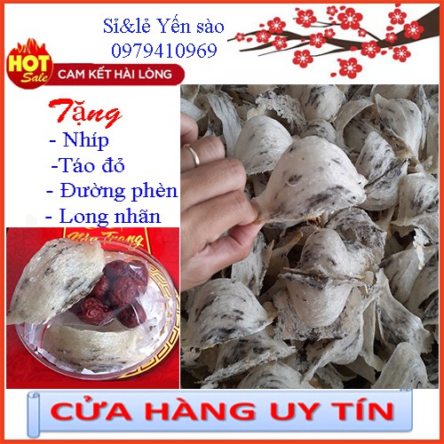 10gr Tổ yến sào thô loại VIP ít lông ⚡️𝐅𝐑𝐄𝐄 𝐒𝐇𝐈𝐏⚡️Tặng kèm - Táo đỏ - Đường phèn - Hạt chia