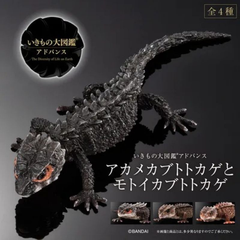 Đồ chơi mô hình lắp ráp BANDAI GASHAPON Rồng Red Eyed Crocodile