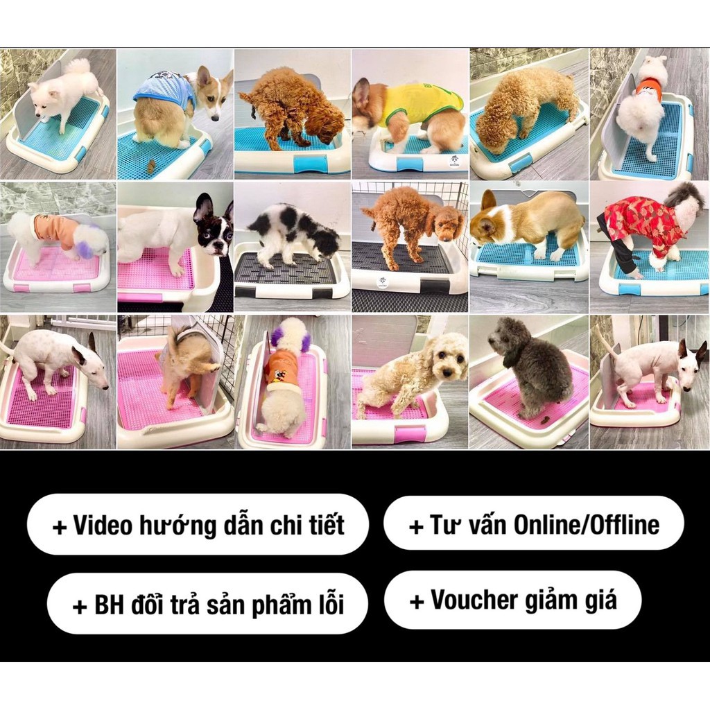 Khay vệ sinh chó phù hợp mọi dòng cún Poodle, Corgi, Pom - Thiết kế có tường, chống cào tã | BossDog