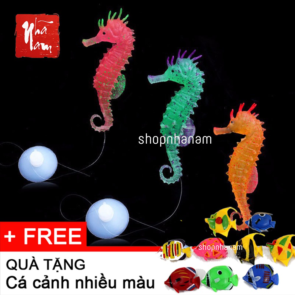 Bộ phụ kiện mô hình trang trí, chăm sóc bể cá