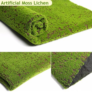 Thảm cỏ rêu nhân tạo trang trí nhà độc đáo