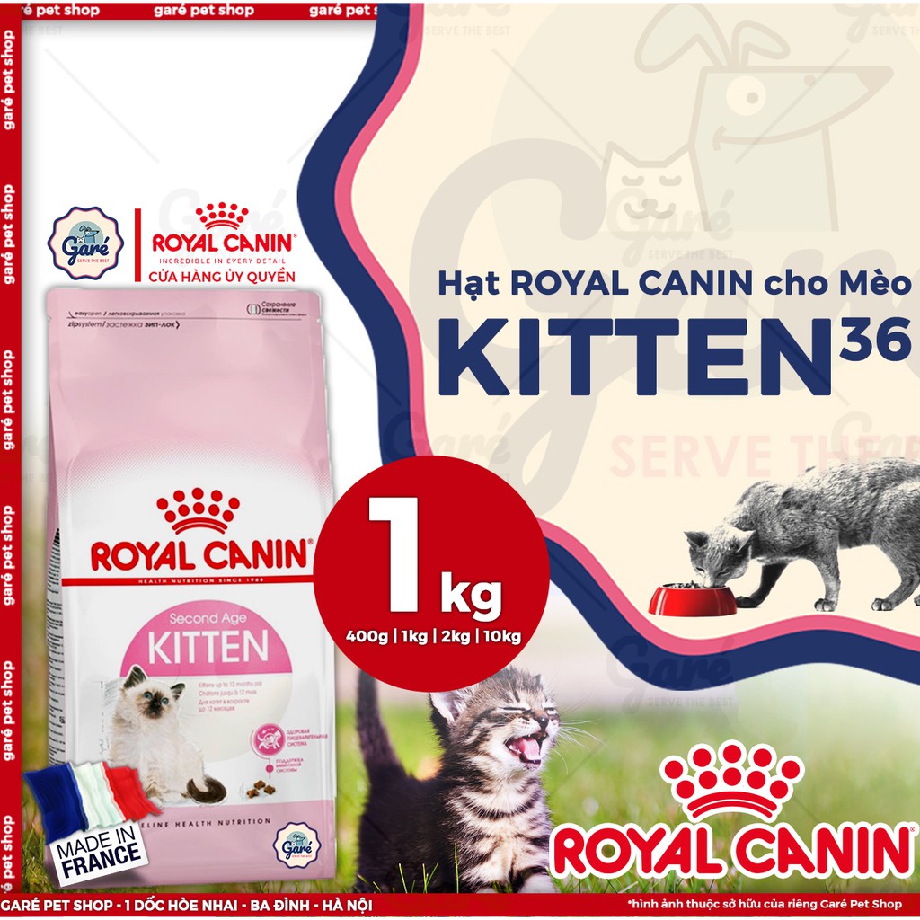 [Mã 99FMCGSALE giảm 8% đơn 500K] 10kg - Hạt Kitten 36 Royal Canin dành cho mèo con từ 4 - 12 tháng tuổi