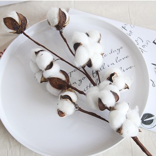 Hoa giả cành bông gòn 53cm nhập khẩu hoa decor trang trí giáng sinh, hoa cô dâu