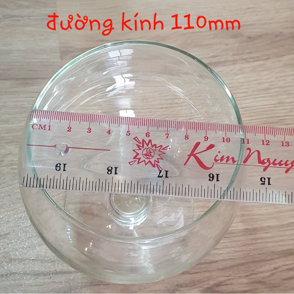 Chậu Thủy Tinh Nuôi Cá Cảnh Trang Trí Dáng Ly