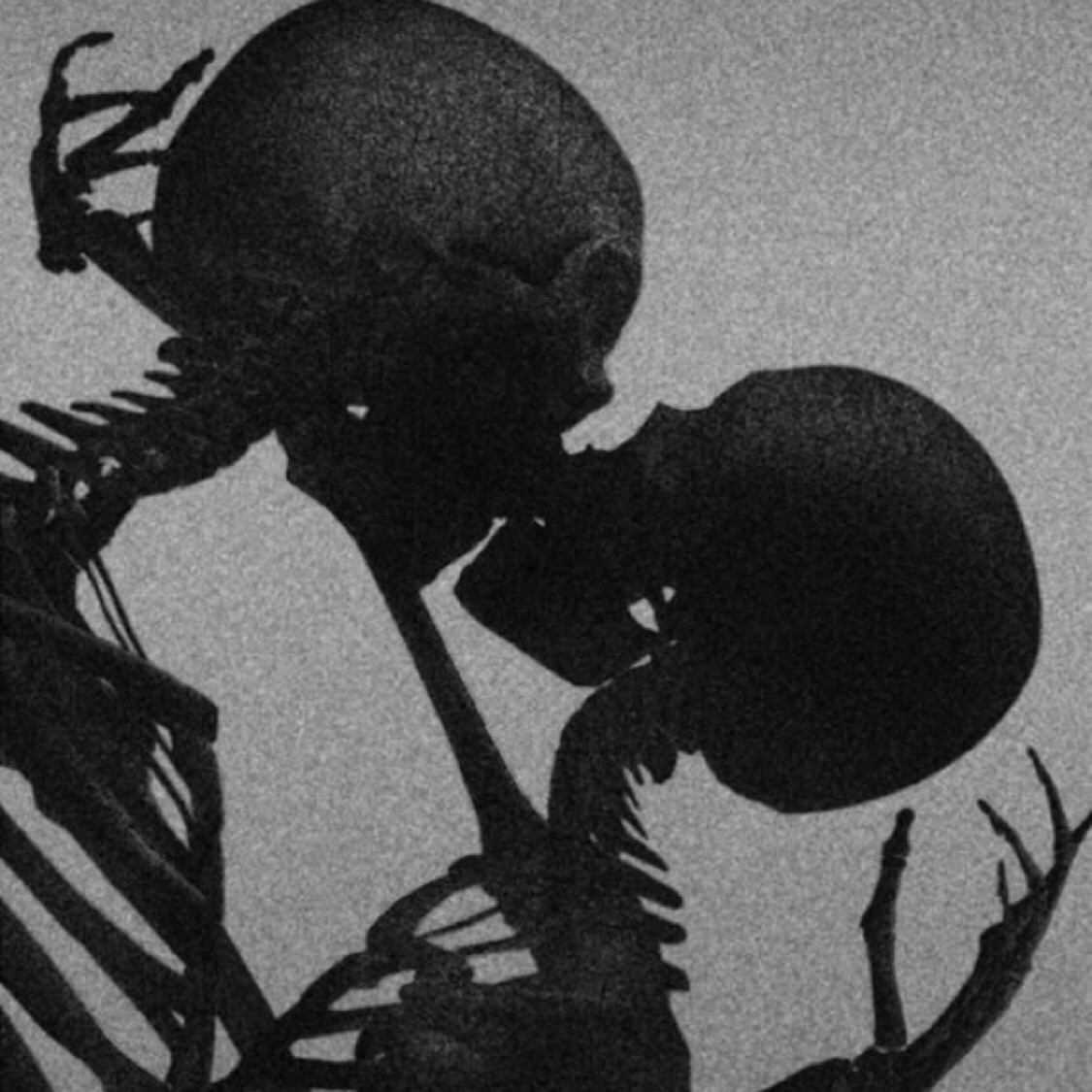 moonlightxnightmare01