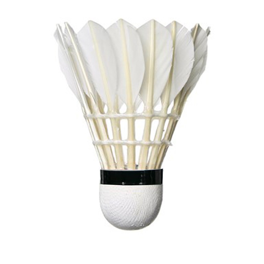 Cầu lông Vina Pro đỏ  Greennetworks