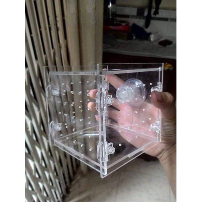 Box Tép và Lồng Dưỡng Cá bằng Mica Siêu Trong - KT: 10x10x10 và 20x10x10cm